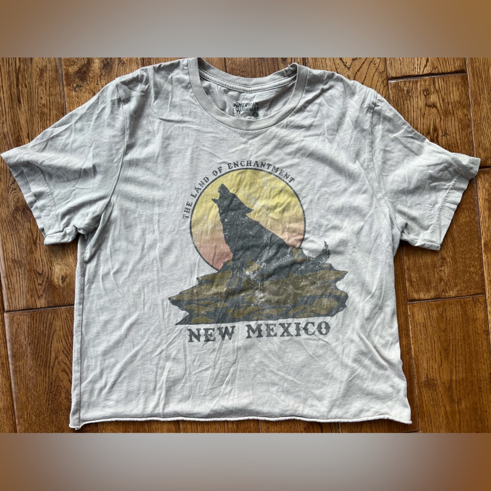 American Highway (Buckle), vintage looking graphic T.
